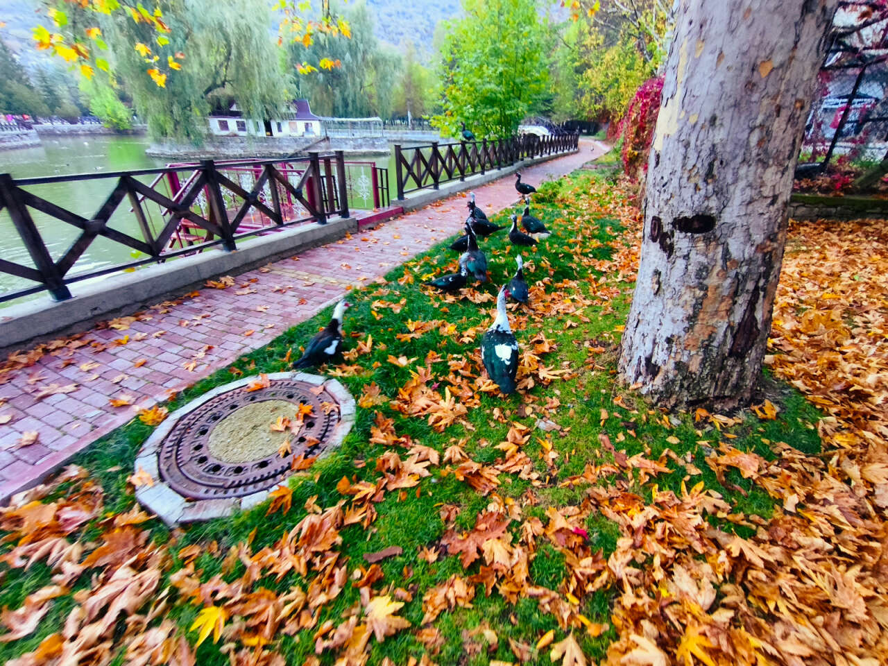 Konya’nın cennet köşesi sonbahar renkleriyle büyülüyor 4